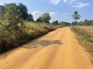 Shamba La Kulima Nanasi Linauzwa