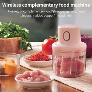 Intelligent Electric Garlic Machine