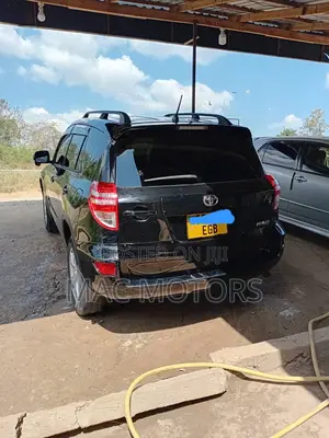Toyota RAV4 2009 Blue