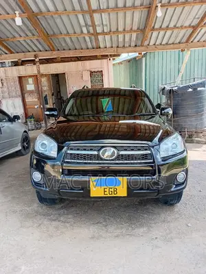 Toyota RAV4 2009 Blue