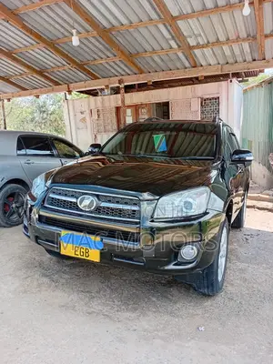 Toyota RAV4 2009 Blue