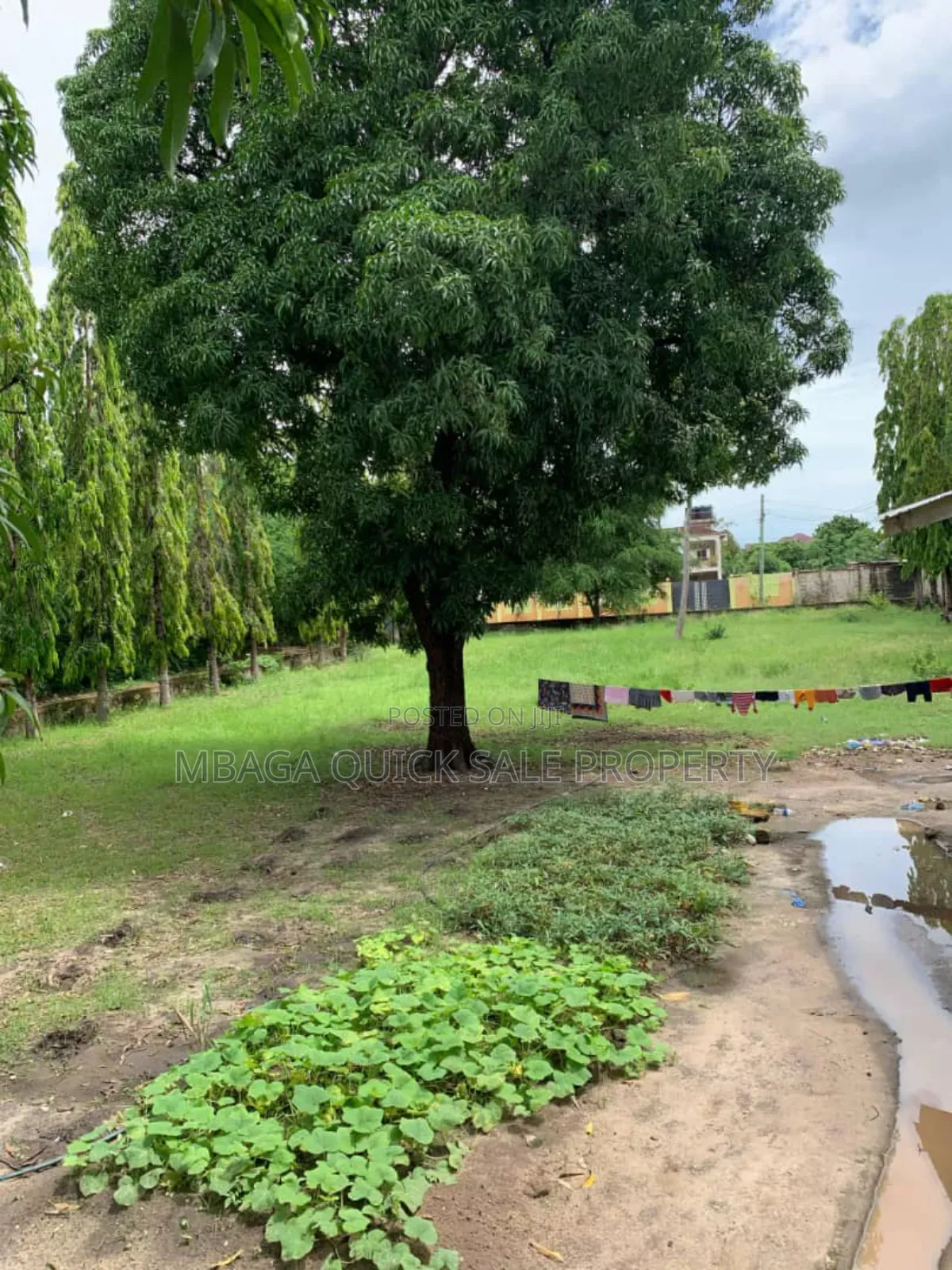 Plot for Sale at Salasala
