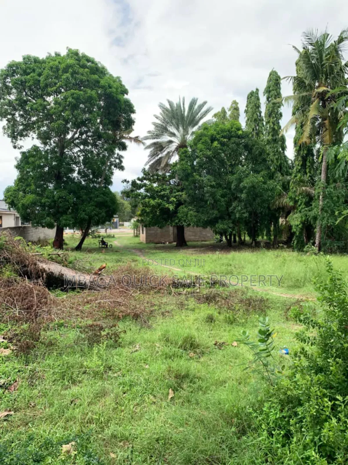 Plot for Sale at Salasala
