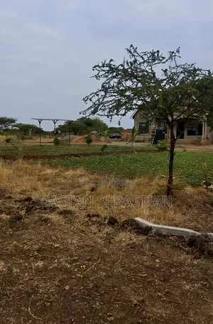 Ngaramtoni Habar Redio Maalumu