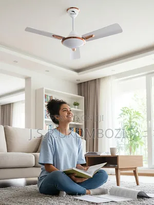 Dolphin Ceiling Fan 36" 3 Blades