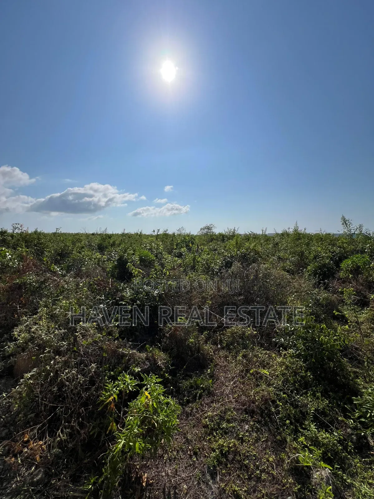 Beach Plot for Sale at Nungwi Zanzibar