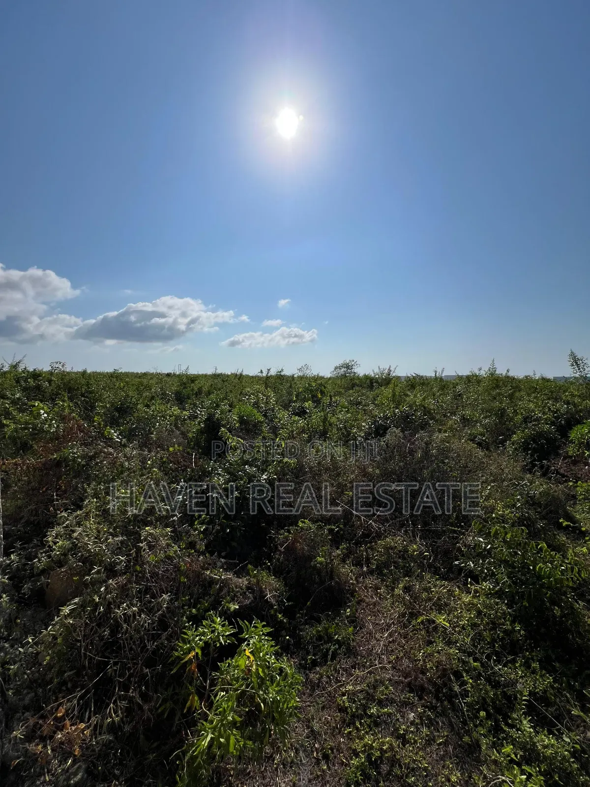 Beach Plot for Sale at Nungwi Zanzibar