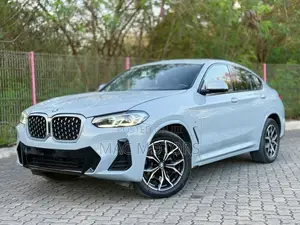 BMW X4 xDrive30i 2023 Gray