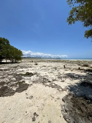 Mangrove Beach Plot for Sale at Pongwe, Zanzibar