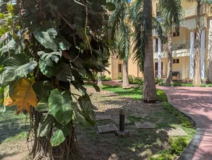Furnished 3bdrm Apartment in Mikocheni Apartments for rent