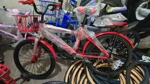 Kid Biycle(Size20)