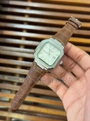 Patek Phillipe Luxury Mechanical Watch Brown and Silver