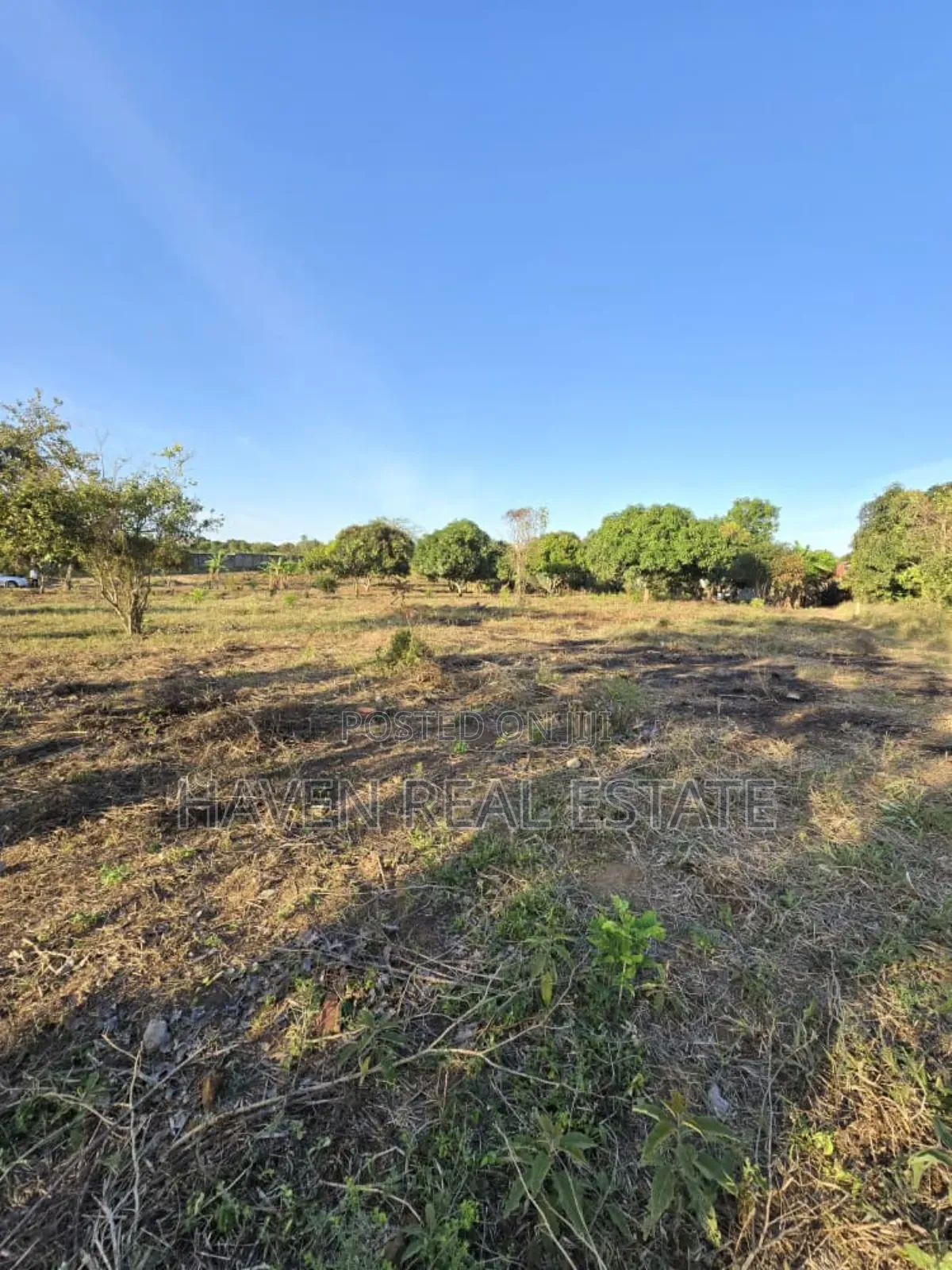 5200sqmt Inauzwa Mapinga Baobao