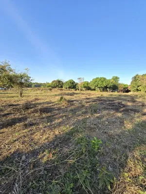 5200sqmt Inauzwa Mapinga Baobao