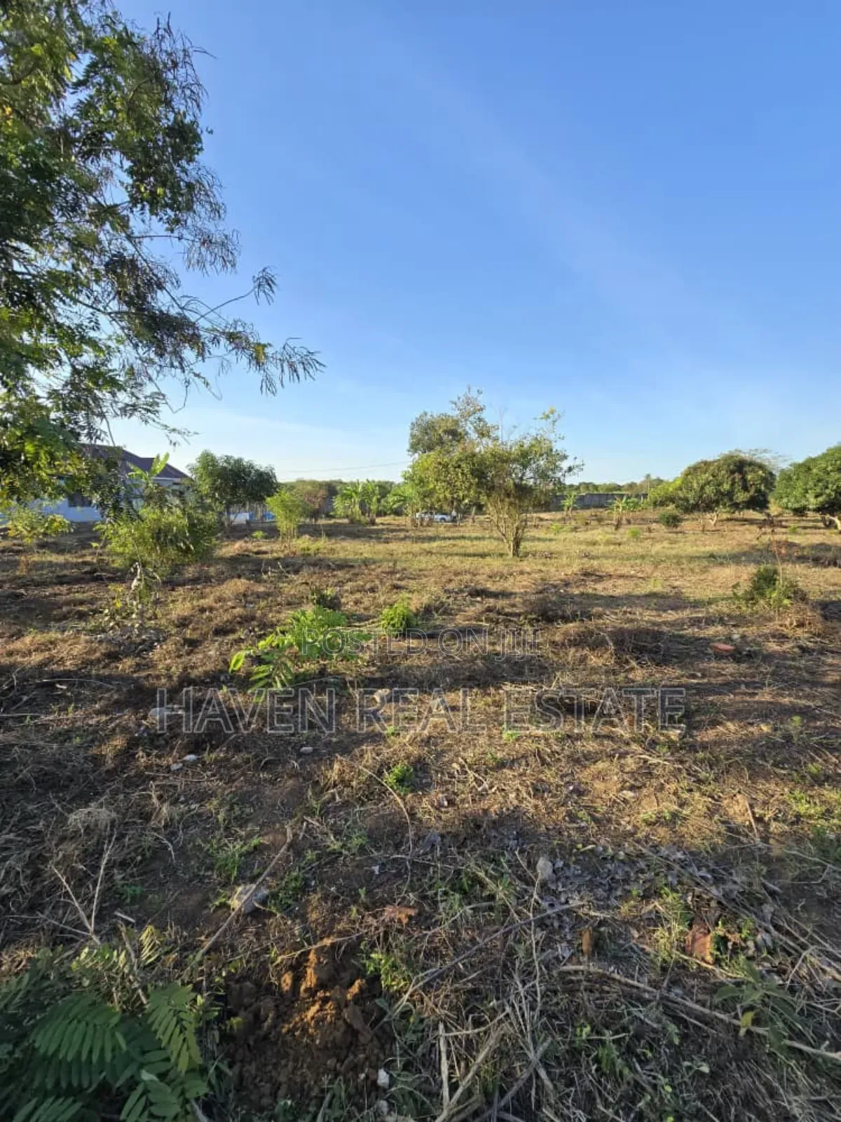 5200sqmt Inauzwa Mapinga Baobao