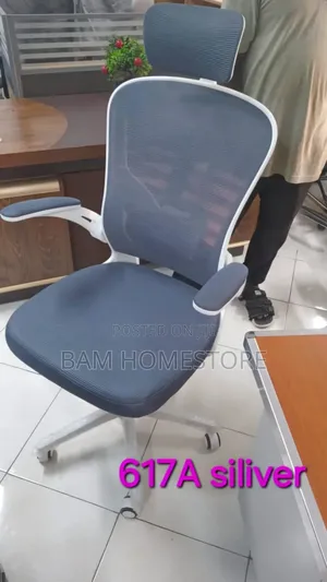Ergonomic Mesh Office Chair With Headrest