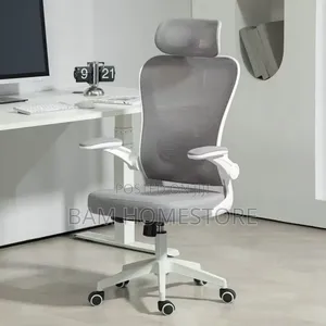 Ergonomic Mesh Office Chair With Headrest