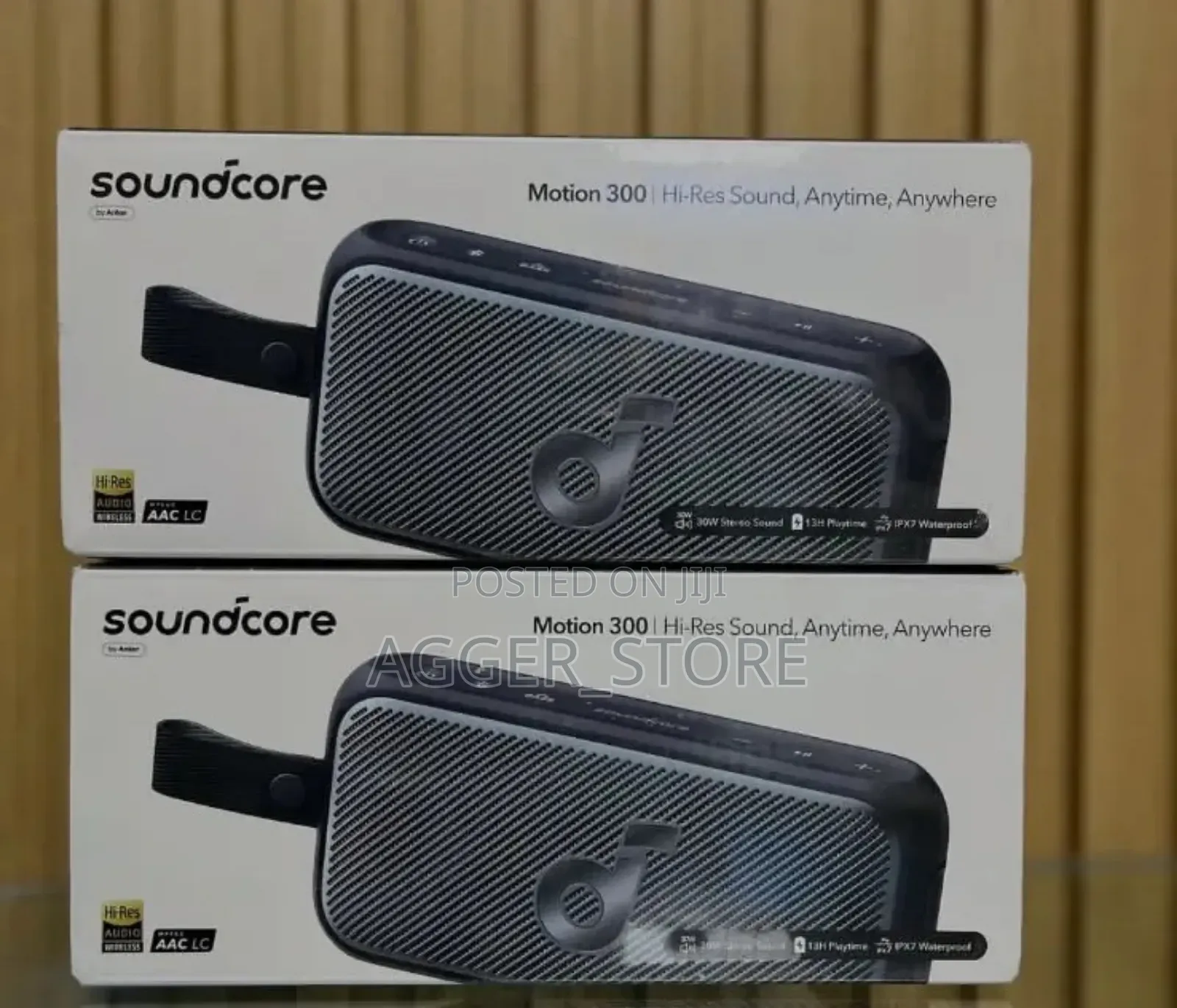 Soundcore Motion 300 Wireless Speaker