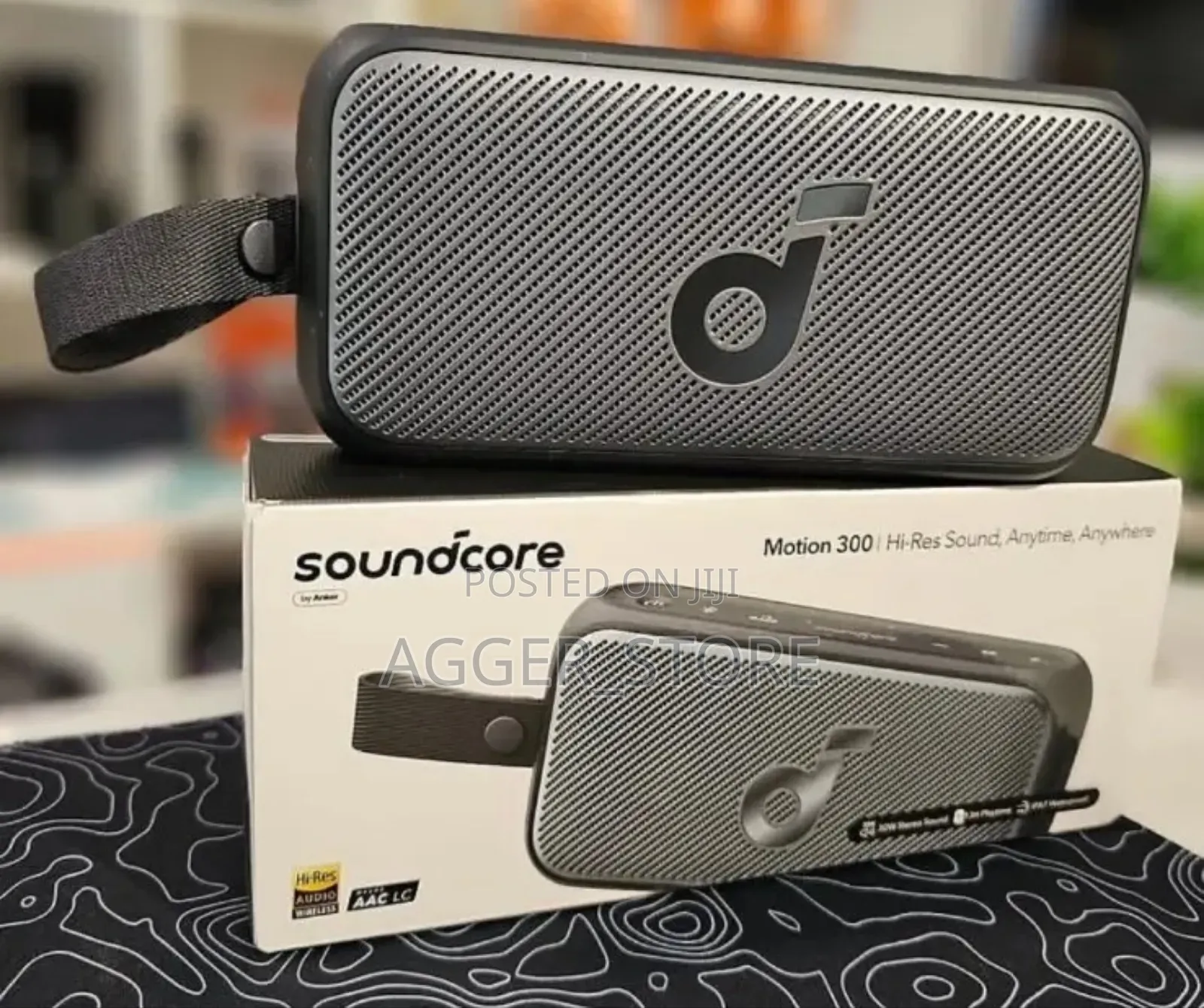 Soundcore Motion 300 Wireless Speaker
