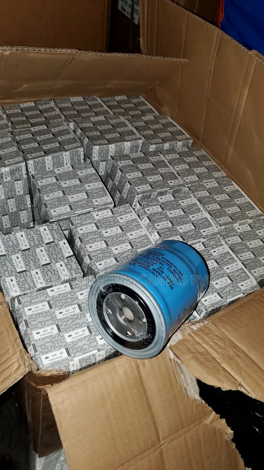 Genuine Nissan Fuel Filter 16405-02n10