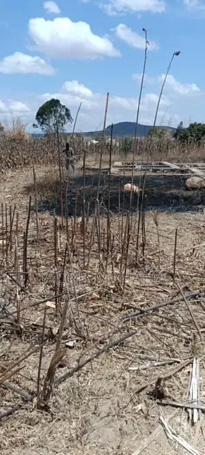 Kiwanja Kinauzwa Igumbilo