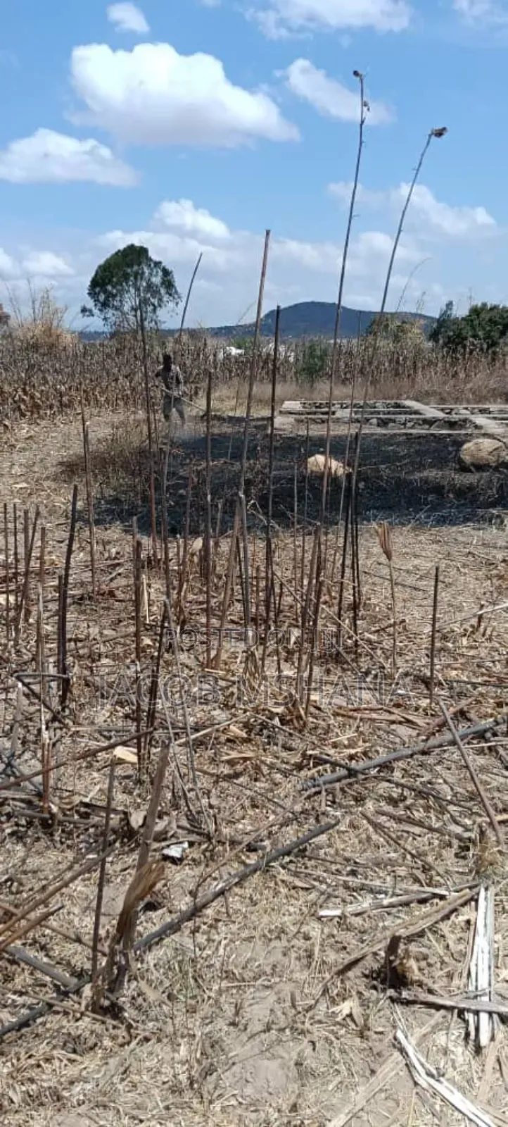 Kiwanja Kinauzwa Igumbilo