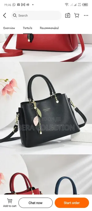 Hand Bag ( Shoulder Bag)