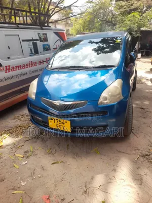 Toyota Ractis 2008 Blue