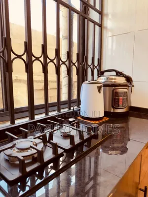 Furnished 1bdrm Apartment in Kijitonyama for rent