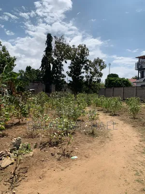 Plot for Sale Bunju Beach Moga