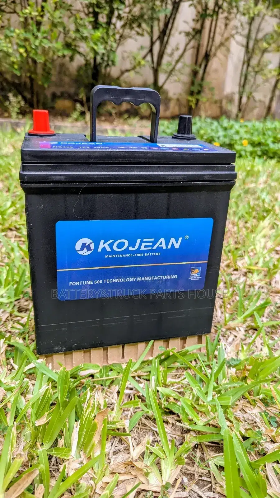 Car Battery Ns40