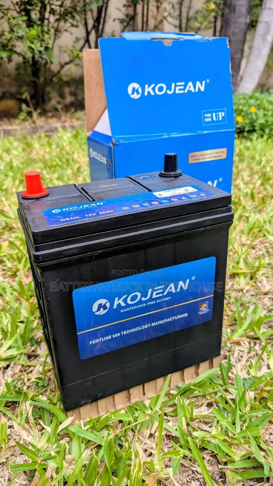 Car Battery Ns40