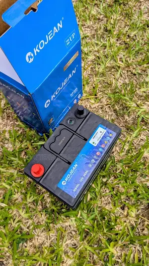 Car Battery Ns40