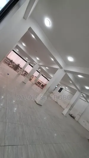 Big Private Office at Sinza B