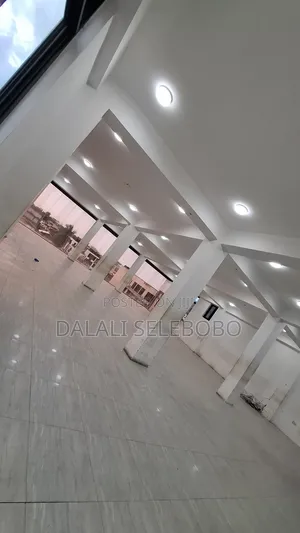 Big Private Office at Sinza B
