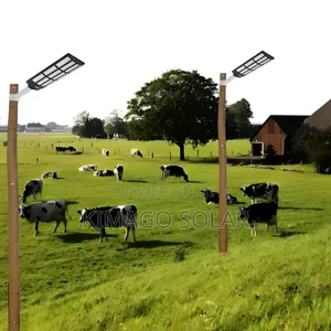 Outdoor Solar Street Light 2000w Big Size, 30,000 Lumens Power