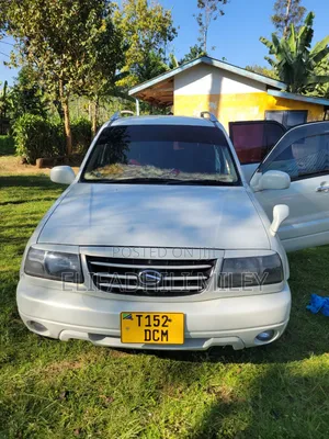 Suzuki Grand Vitara XL 7 2002 White