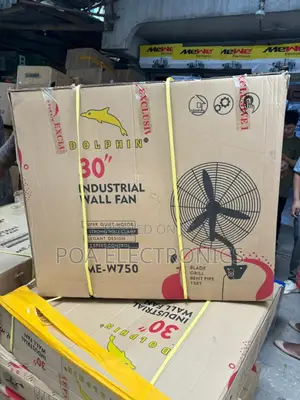 Electric Wall Fan