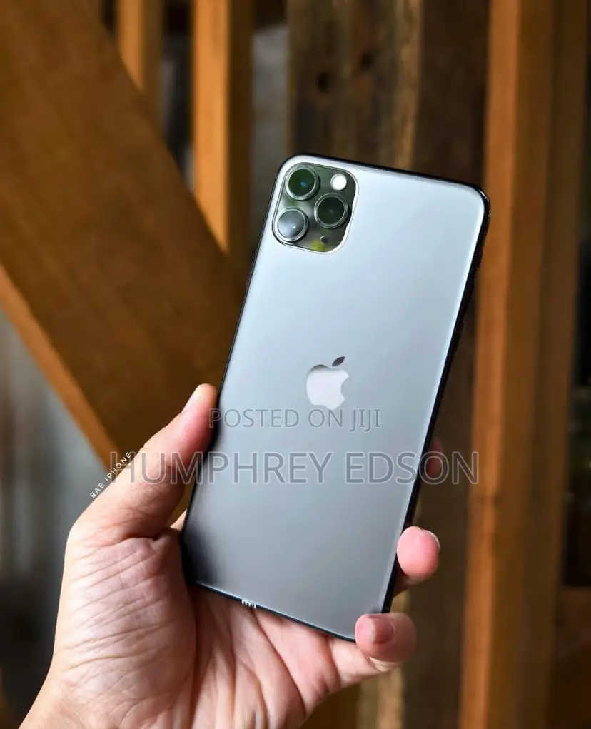 Apple iPhone 11 Pro Max 256 GB Gray