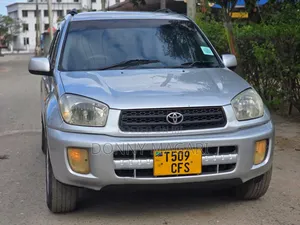 Toyota RAV4 2004 Silver