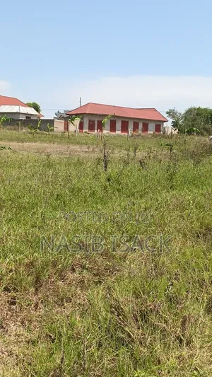 Plot for Sell Sq. 3995 Mwanza-Ruchelele