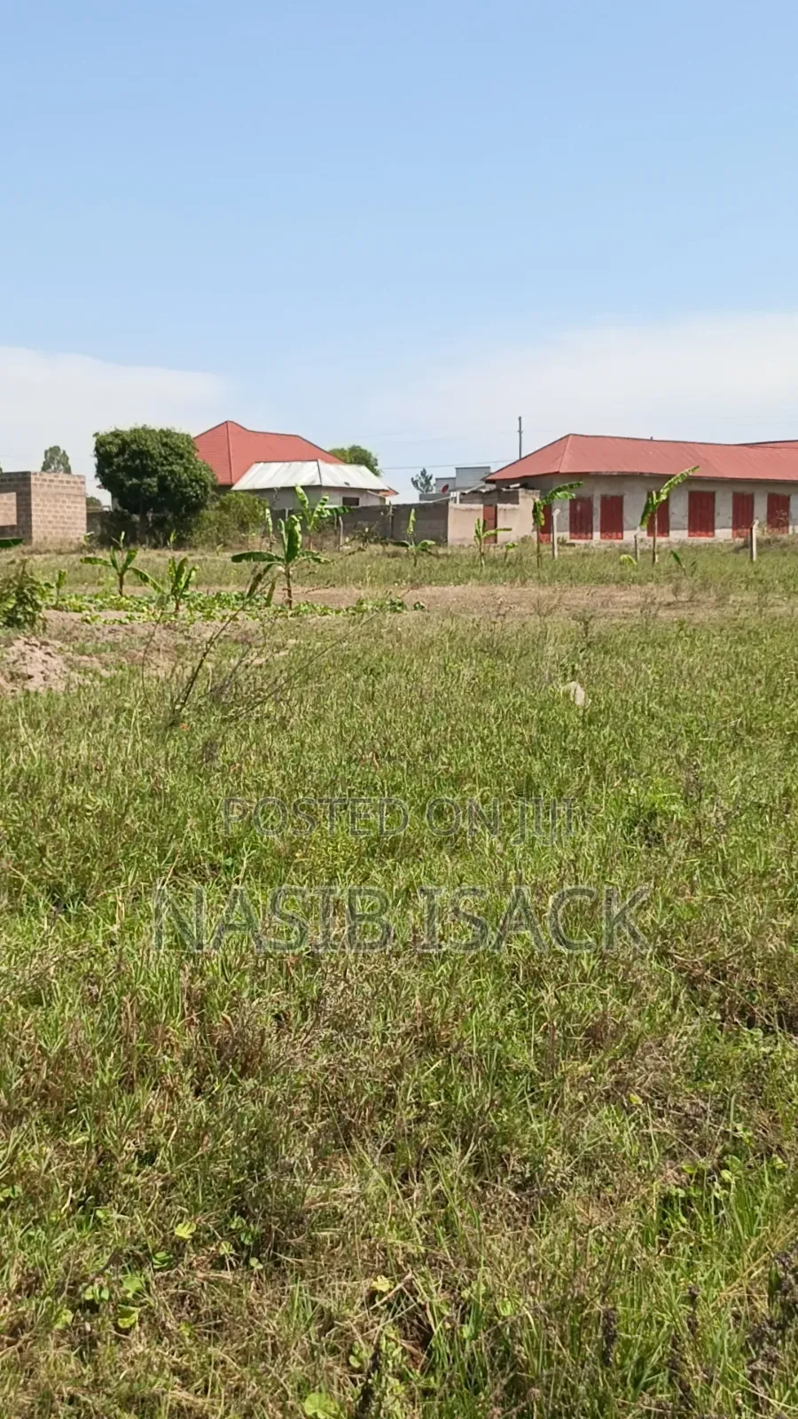 Plot for Sell Sq. 3995 Mwanza-Ruchelele