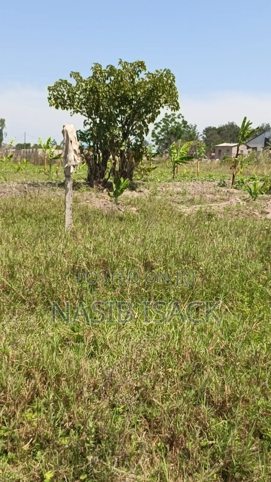 Plot for Sell Sq. 3995 Mwanza-Ruchelele
