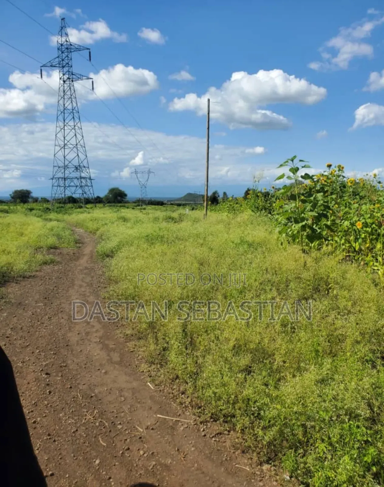 Kambele Wauzaji Viwanja