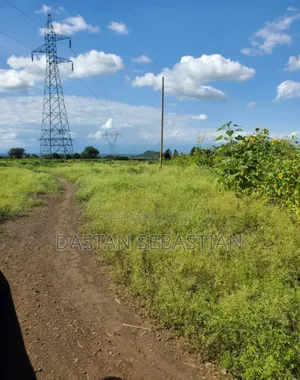 Kambele Wauzaji Viwanja