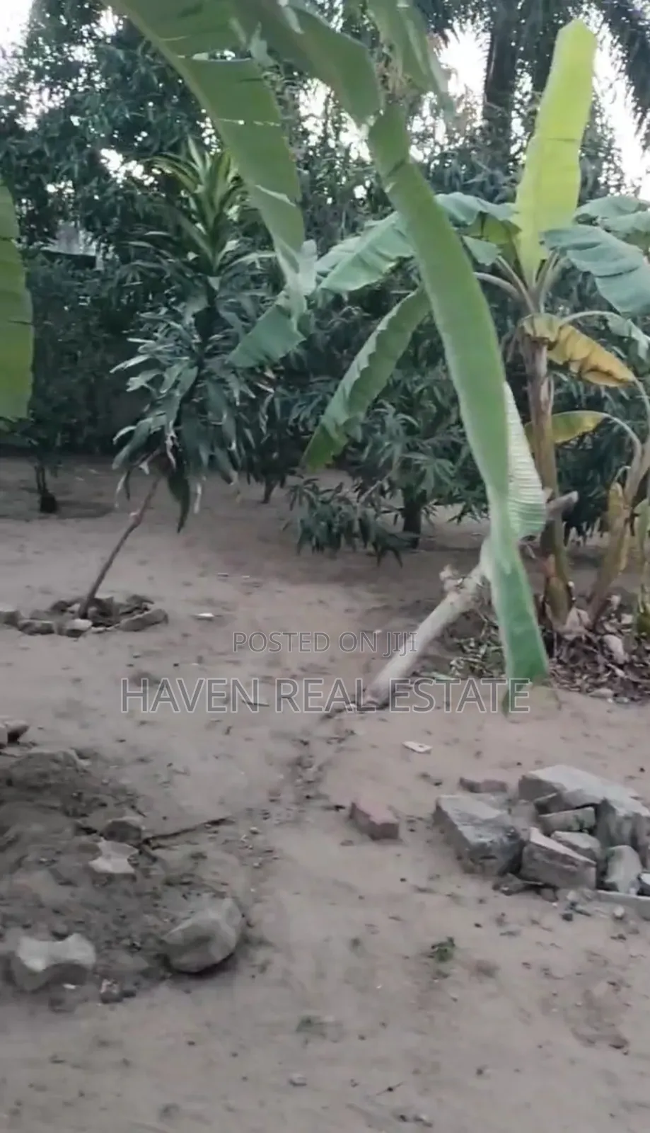 Plot for Sale at Salasala