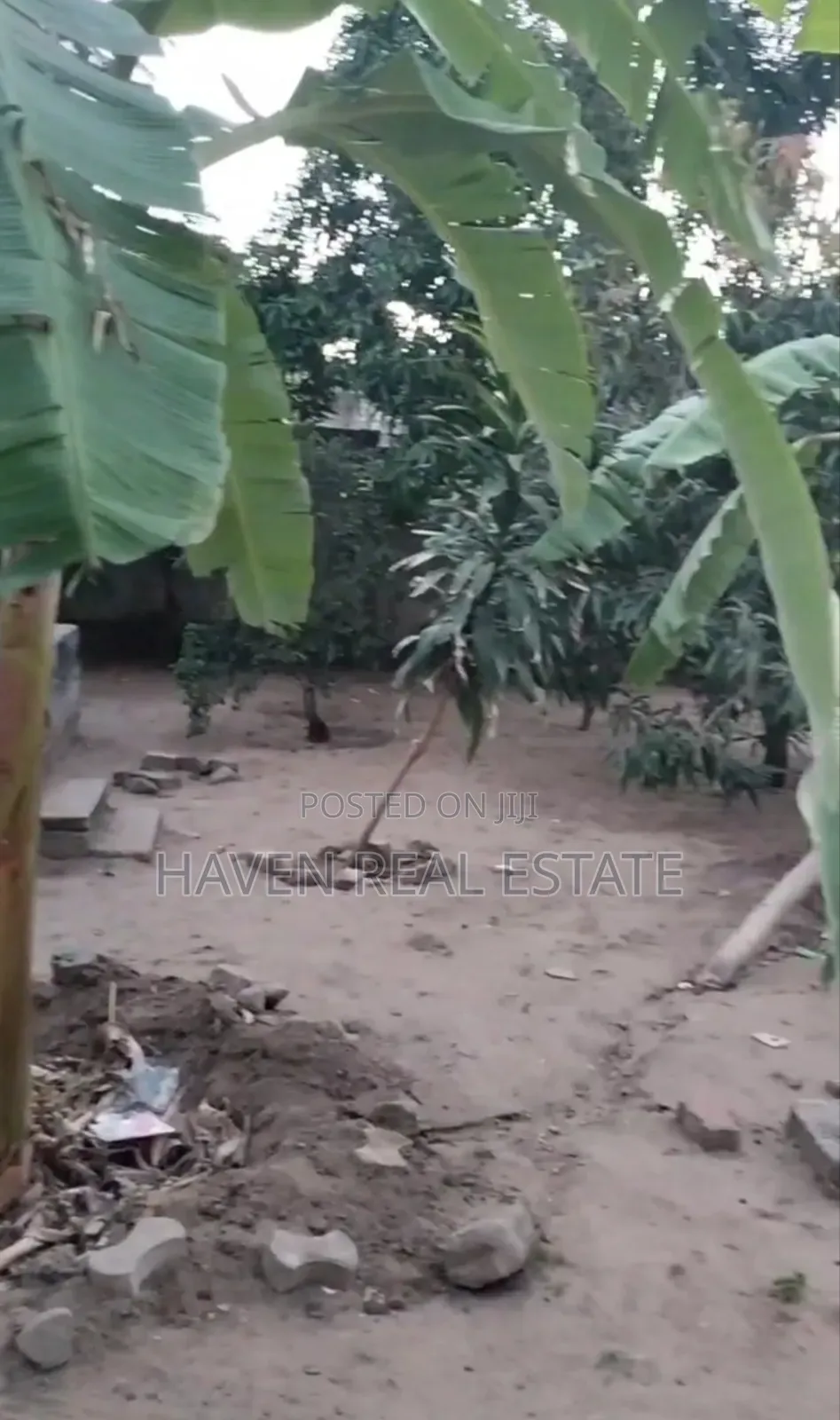Plot for Sale at Salasala