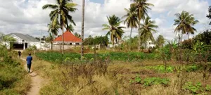 Kiwanja Kinauzwa Gezaulole Kigamboni