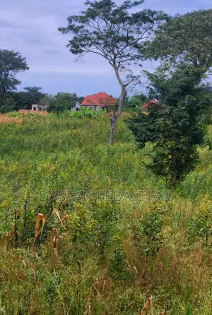 Viwanja Teleee Arusha