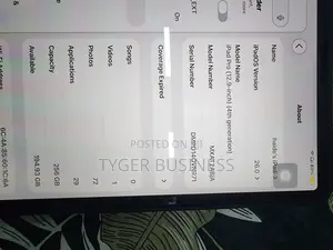 Apple iPad Pro 12.9 (2020) 256 GB Silver